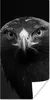 MuchoWow® Poster Bussard - Vogel - Tiere - Schwarz - Weiß Produktbild-Vorschau 1