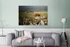 MuchoWow® Poster Schottische Highlander - Steine - Gras Produktbild-Vorschau 5