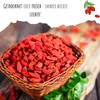 Goji Beeren Samen (Lycium chinense) - Vitaminreiche, rote Produktbild-Vorschau 4