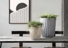 Vaso da fiori Howhomely altezza 36 cm - vaso per piante Anteprima dell’immagine prodotto 5