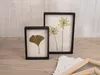 Rayher Papierschöpfrahmen Set 2-teilig 21x30 cm für Produktbild-Vorschau 9