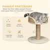PawHut Kratzbaum klein, 49 cm Katzenbaum, Katzenkratzbaum Produktbild-Vorschau 4