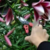 Sekator ogrodowy nożyce do pędów krzewów gałęzi jednoręczny Podgląd zdjęcia produktu 6