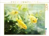 CALVENDO Puzzle Ein Motiv aus dem Kalender "Neulich am Produktbild-Vorschau 1