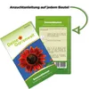 Sonnenblumen Samtkönigin Samen - Helianthus annuus - Produktbild-Vorschau 3