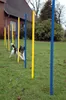 dobar 12-teiliges Agility Slalom Set, Hindernis mit 12 Produktbild-Vorschau 4