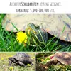 Löwenzahn Samen für Kaninchen - Wildkräuter Saatgut als Produktbild-Vorschau 5