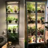Two images showing indoor plant displays with grow lights. Produktbild-Vorschau