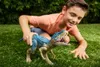 A young boy playing with a dinosaur toy on the grass. Podgląd zdjęcia produktu