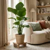 Green boutiQ - Zimmerpflanze - Paradiesvogelblume - Produktbild-Vorschau 2