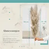 Sunny Tree - Trawa pampasowa - 5 sztuk 115 cm - Suszone Podgląd zdjęcia produktu 2