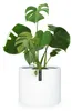Fox & Fern Blumentopf, Übertopf Groß, UV- und Produktbild-Vorschau 1