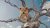 Mufasa: Der König der Löwen Produktbild-Vorschau 4