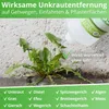 Nanoprotect Unkrautvernichter Grundstoff Essig/Acetum - 1 Produktbild-Vorschau 3