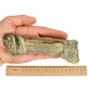 RF-DEER: 5 Stück 225-325g 17-20cm getrocknete Dorschhaut Produktbild-Vorschau 3