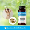 Lipotropní faktory 100 kapslí Náhled obrázku produktu 8
