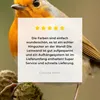 MuchoWow® - Leinwandbilder - Vogel - Rotkehlchen - Produktbild-Vorschau 8