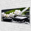 Glasbilder 125x50 Wandbild Druck auf Glas Blumen Steine Produktbild-Vorschau 2