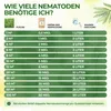 Green Guardia Nematoden gegen Thripse – 0.5 Mio. - Effektiv Produktbild-Vorschau 4