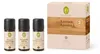 Primavera Aroma Sauna Set, 3 stuks: Kracht & Rust Productafbeelding-voorbeeld 1
