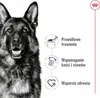 Royal Canin Maxi Adult - 15 kg Produktbild-Vorschau 8