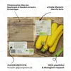 Zucchini Samen Gelb (Gold Rush, 5 Korn) - Zucchini Saatgut Produktbild-Vorschau 5
