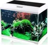 A well-lit studio shot of a modern aquarium filled with lush green plants, red aquatic plants, and small fish swimming in clear water. The aquarium has a white frame and a black top. Anteprima dell’immagine prodotto