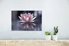 MuchoWow® Poster Rosa Blume im Wasser 30x20 cm - Plakate - Produktbild-Vorschau 5