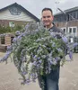 A man holds a large flowering plant in front of a building. Produktbild-Vorschau