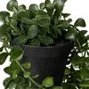 Lot de 2 plantes artificielles suspendues Relaxdays, Voir les images du produit 5