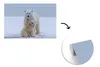 MuchoWow® Fototapete für Wohnzimmer oder Schlafzimmer Produktbild-Vorschau 3