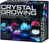 4M Crystal Growing Experimental Kit | 4M Anteprima dell’immagine prodotto 1
