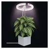 LED GROW pěstební lampa 8 W, časovač, stmívatelná, bílá Anteprima dell’immagine prodotto