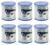 6x INTEX 29007 Type H PureSpa Easy Set Filtres de rechange Voir les images du produit 1