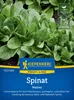 Kiepenkerl Spinatsamen Helios F1 Spinacia oleracea 10-12 Produktbild-Vorschau 3