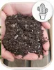Blumenerde für Kakteen und Sukkulenten 5l - Optimale Produktbild-Vorschau 3