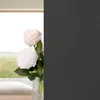 Two roses in a vase in front of a window with a view of a field. Produktbild-Vorschau