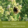 JR Farm Cat - Bastoncini alla catnip bavarese 8 g Anteprima dell’immagine prodotto 3