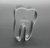 Zub 56x36mm Náhľad obrázku produktu 2