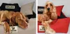 Hundebett KINGDOG Laufstall 100x75 cm personalisiert Produktbild-Vorschau 11