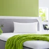 4 x CloudComfort Basic Mikrofaser Kopfkissen 40 x 80 cm Produktbild-Vorschau 10