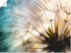 ARTland Poster Pusteblume Makro abstrakt Größe: 120x90 cm Produktbild-Vorschau 1