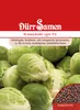Rosenkohl Igor F1 | Rosenkohlsamen von Dürr Samen Produktbild-Vorschau 1