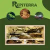 Repiterra® Terrarium für Schildkröten Holzterrarium OSB Produktbild-Vorschau 5