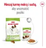 Royal Canin 3182550793735, Dorosły, Każda rasa, Drób, Ryż, Podgląd zdjęcia produktu 11