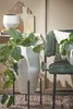 Mica Decorations Ascot Support pour plantes - L24 x l24 x Voir les images du produit 6