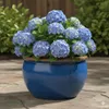 Bac à plantes Pot de fleurs « Bavaria » 33 cm bleu royal Voir les images du produit 9