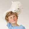 Folkmanis 2885 Handpuppe Alpaka Produktbild-Vorschau 4