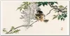 Coloray Bild aus Leinwand 120x60 Leinwand Dekoration - Produktbild-Vorschau 1