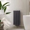 A modern bathroom with a radiator, bathtub, and plant. Náhľad obrázku produktu